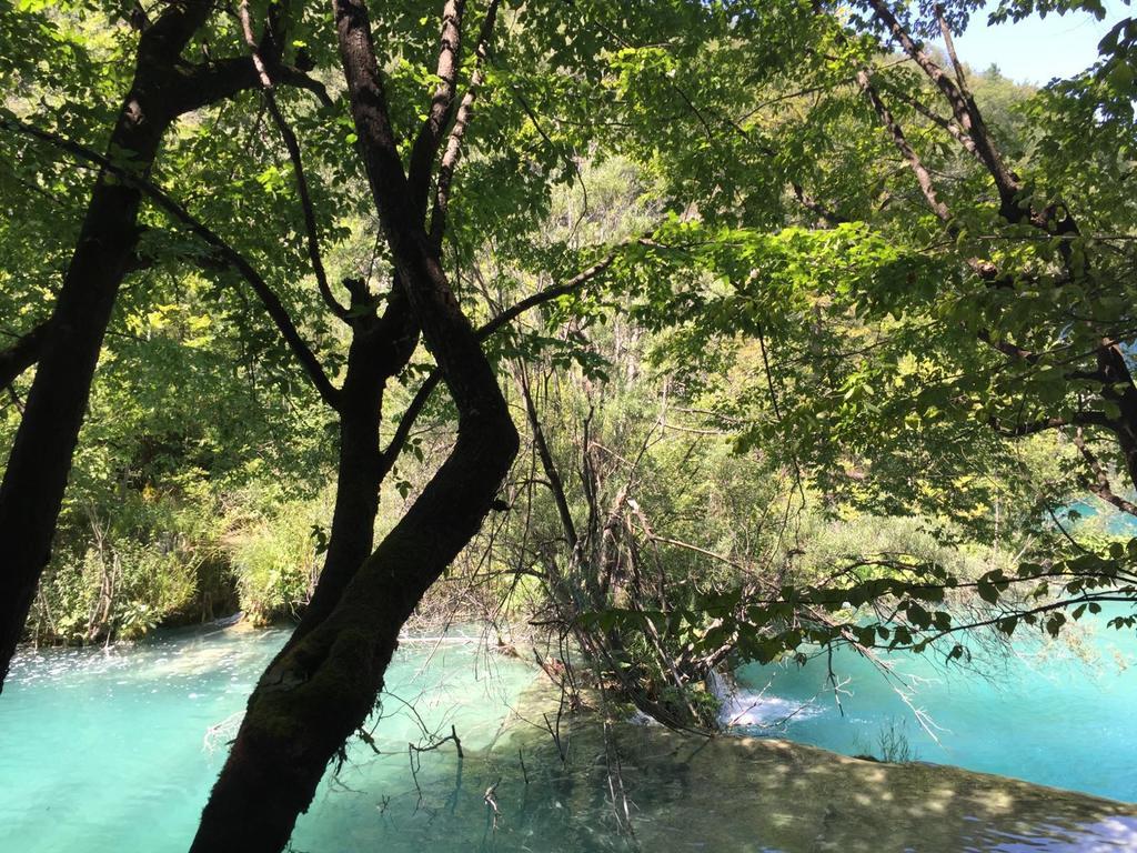 Pool Apartments Plitvice Lakes Grabovac  Esterno foto